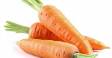 Carrot