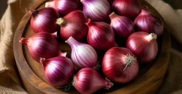 Onion (प्याज)
