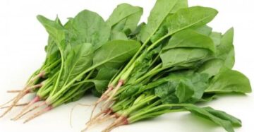 Spinach