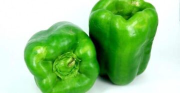 Capsicum